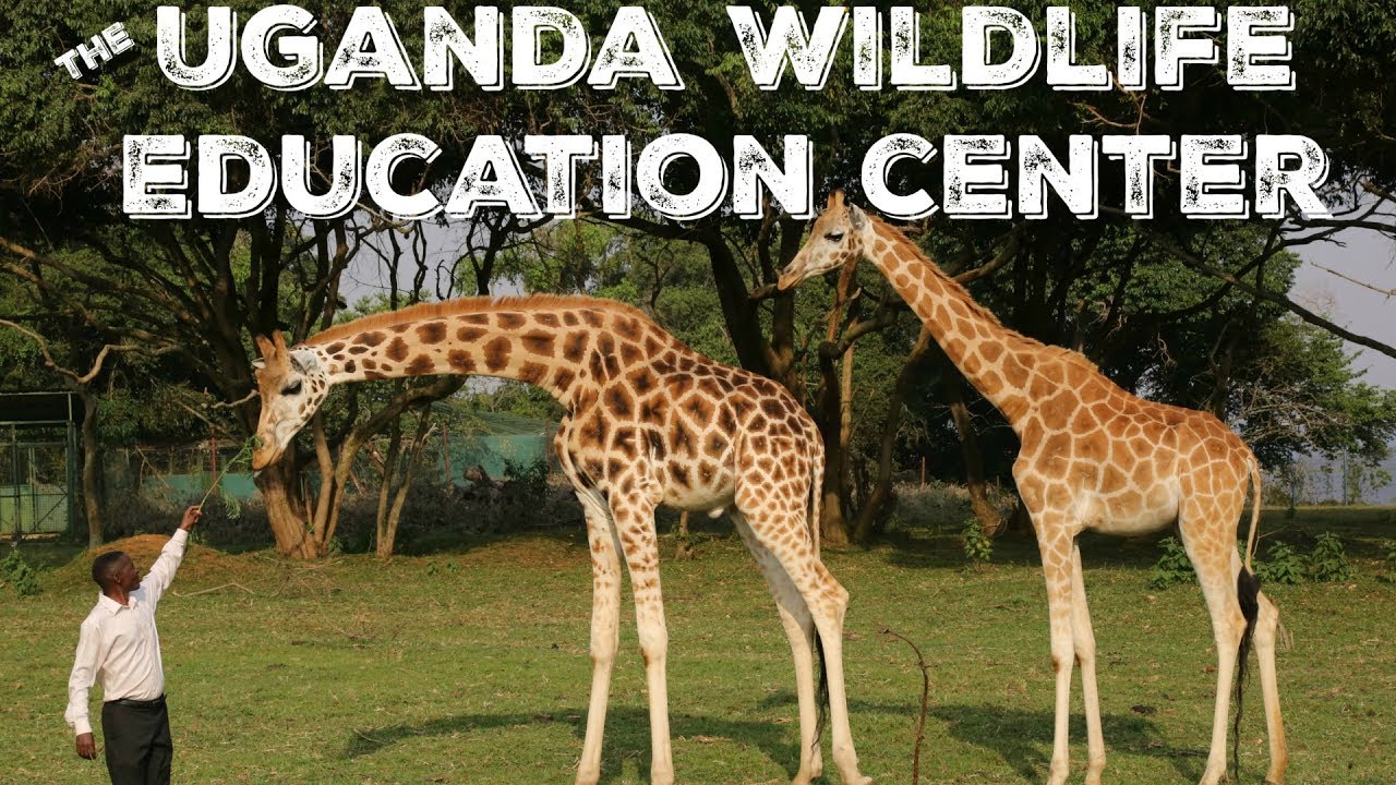 Uganda Wildlife Education Centre Research